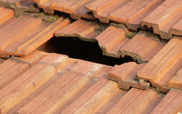roof repair Llangedwyn, Powys